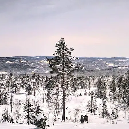 The - Panorama Lampeland