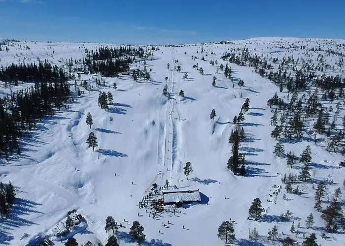The - Panorama Σαλέ Lampeland